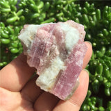 Crystal Healing~1Pcs Natural Pink Tourmaline Crystal Mineral Association Rough Stone Specimen Crystal Rock Stones Rare Original