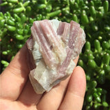 Crystal Healing~1Pcs Natural Pink Tourmaline Crystal Mineral Association Rough Stone Specimen Crystal Rock Stones Rare Original