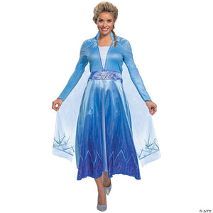 Frozen 2 elsa deluxe adult 4-6