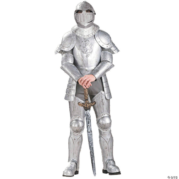 Knight in shining armour adult