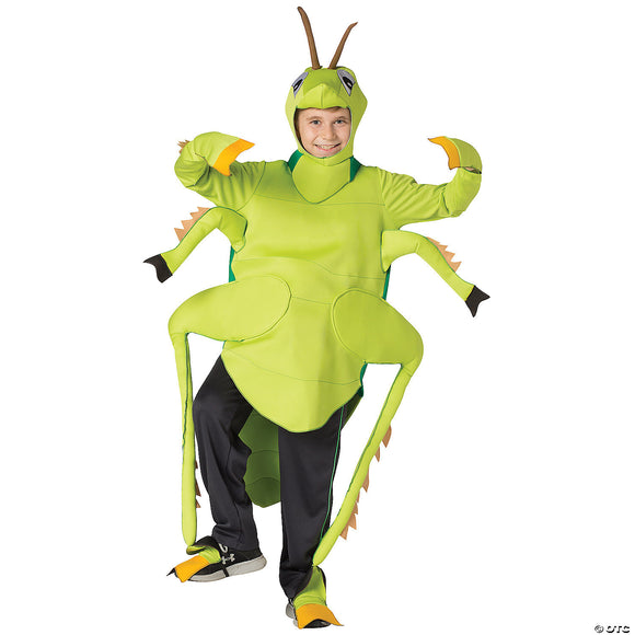 Child's grasshopper costume