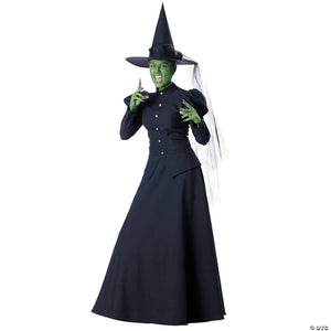 Wicked witch adult large