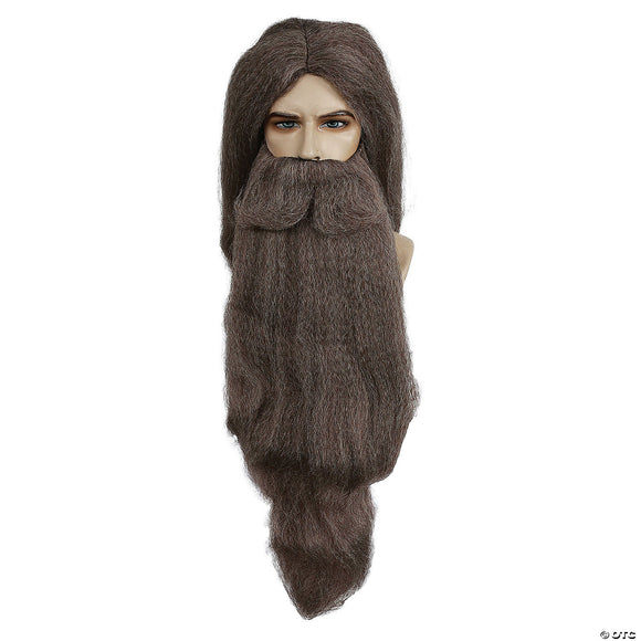 Wizard beard and wig set-gray