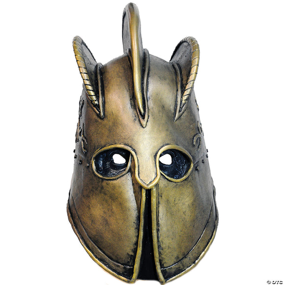 The mountain adult helmet mask