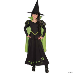 Girl's wizard of oz - wicked witch  cost