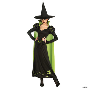 Women's wicked witch of the west costume