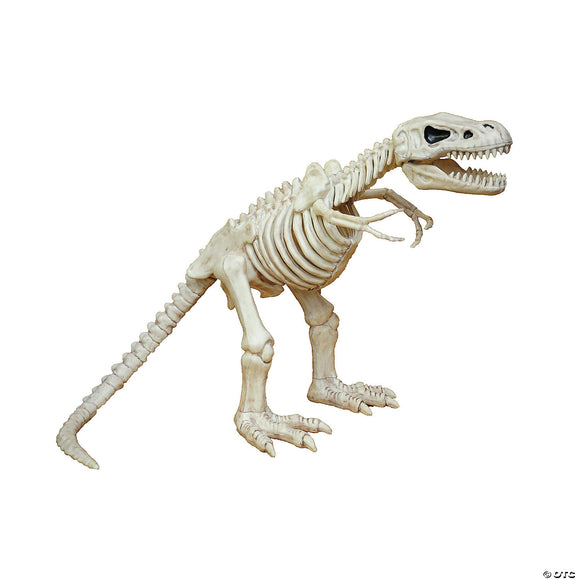 T-rex skeleton decoration