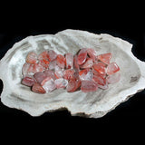 Crystal Healing~Fire Quartz Tumbled(1 lb)