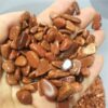 Crystal Healing~100g Natural Golden sand stones Quartz Crystal Wand Points Healing Gemstone Wand feng shui crystals