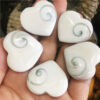 Crystal Healing~5pcs  Natural Madagascar Sun Shell Crystal Heart Shape Shell Stone Snails Shape Animal Magic Health Healing Dreamlike Gift