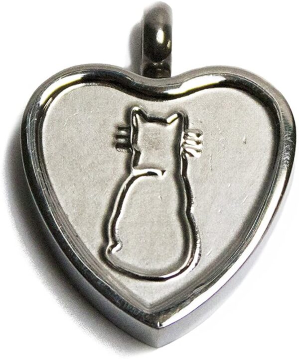 Purrfect Heart Keepsake Love Vial Memory Pendant Amulet Talisman Charm