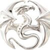 Draco Mythical Companion Pendant for Stability & Progress by Anne Stokes