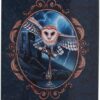 Lisa Parker Owl Heart of the Storm Eyeglass Case/Trinket Box