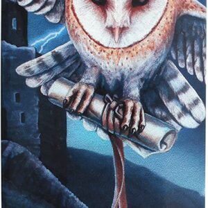 Lisa Parker Owl Heart of the Storm Eyeglass Case/Trinket Box