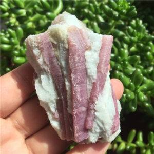 Crystal Healing~Beautiful 1Pcs Natural Pink Tourmaline Crystal Mineral Association Rough Stone Specimen Crystal Rock Stones Rare Original
