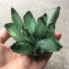 Crystal Healing~Beautiful Green Ghost Phantom Quartz Crystal Cluster rock stones crystals mineral reiki Healing Specimen Minerals Reiki Healing