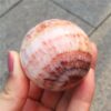Crystal Healing~Beautiful Natural stone quartz crystal ball beautiful Red patterned stone ball 50-60mm