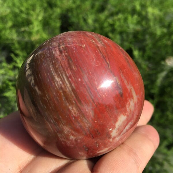 Crystal Healing~Natural petrified wood ball wooden fossil stone ball  1pcs 50-60mm