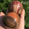 Crystal Healing~Natural petrified wood ball wooden fossil stone ball  1pcs 50-60mm