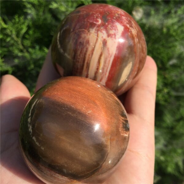 Crystal Healing~Natural petrified wood ball wooden fossil stone ball  1pcs 50-60mm