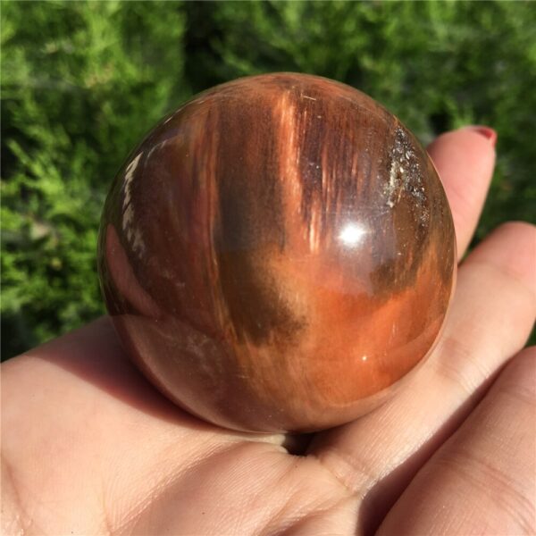 Crystal Healing~Natural petrified wood ball wooden fossil stone ball  1pcs 50-60mm