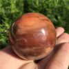Crystal Healing~Natural petrified wood ball wooden fossil stone ball  1pcs 50-60mm