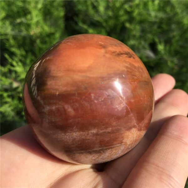 Crystal Healing~Natural petrified wood ball wooden fossil stone ball  1pcs 50-60mm