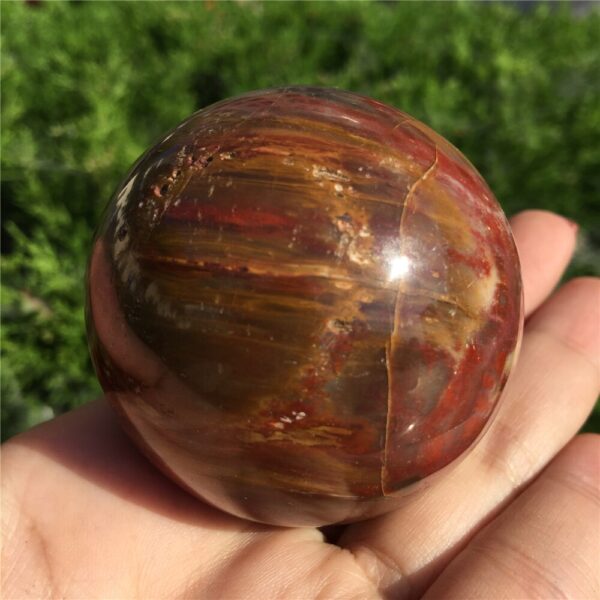 Crystal Healing~Natural petrified wood ball wooden fossil stone ball  1pcs 50-60mm