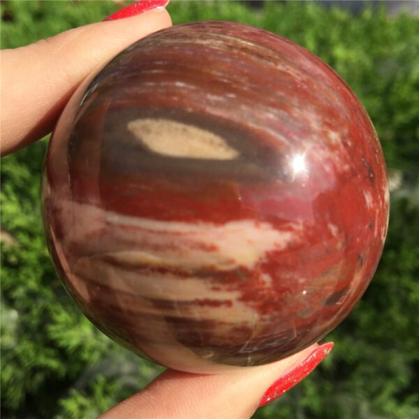 Crystal Healing~Natural petrified wood ball wooden fossil stone ball  1pcs 50-60mm