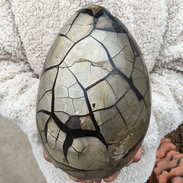 Natural Septarian Geode Dragon Egg Quartz Egg Cluster Crystal Healing Random - Stones