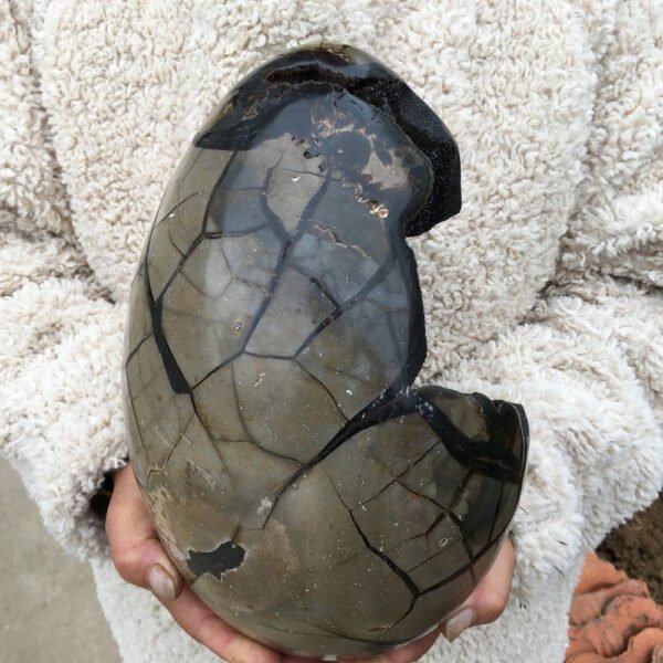 Natural Septarian Geode Dragon Egg Quartz Egg Cluster Crystal Healing Random - Stones