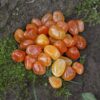 Crystal Healing~Aventurine, Yellow Tumbled Stone