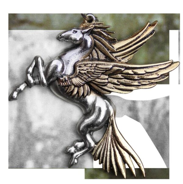 Pegasus for Divine Understanding Pendant w/ chain, card and pouch-prestige enchanted jewelry endants, magickal crystal jewelry