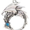 Ouroborous for Renewal Pendant w/ chain, card and pouch-prestige enchanted jewelry and pendants, magickal crystal jewelry, talisman rebirth
