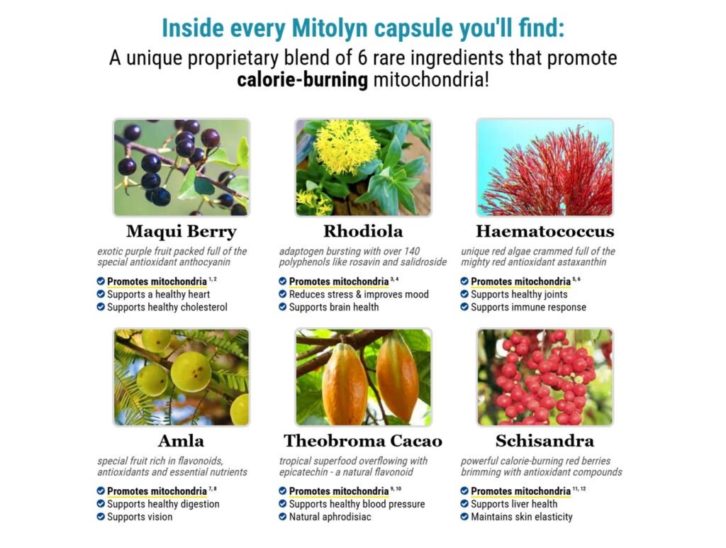 Mitolyn Official Site  Mitolyn Online Store  