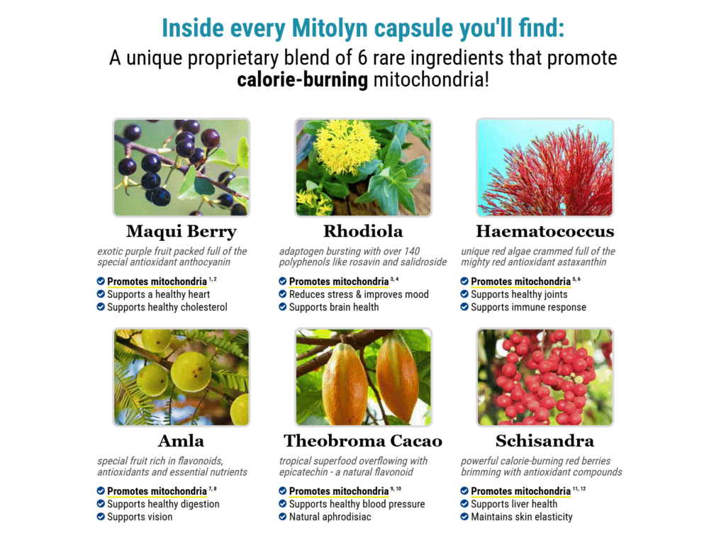 Mitolyn Reviews: Does It Really Work for Weight Loss?