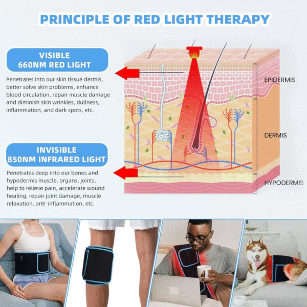 red light therapy belt