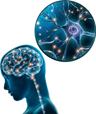 The Brain Song™Unlock Your Mind's Potential 6 how it works diagram