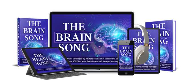 The Brain Song audio visualization